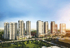 Dự án Sunrise Hồ Chí Minh